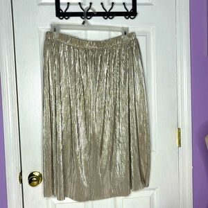 Shiny Gold LineTextured Maxi Skirt